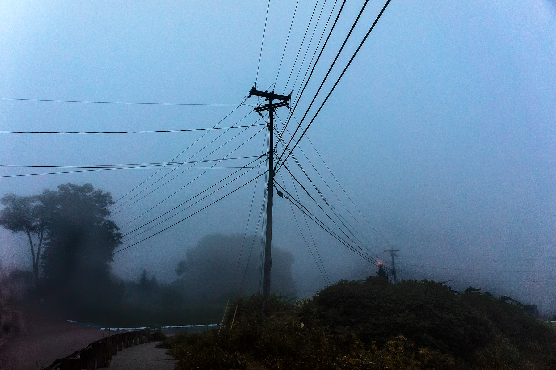 Utility lines converging on a single pole in Maine fog