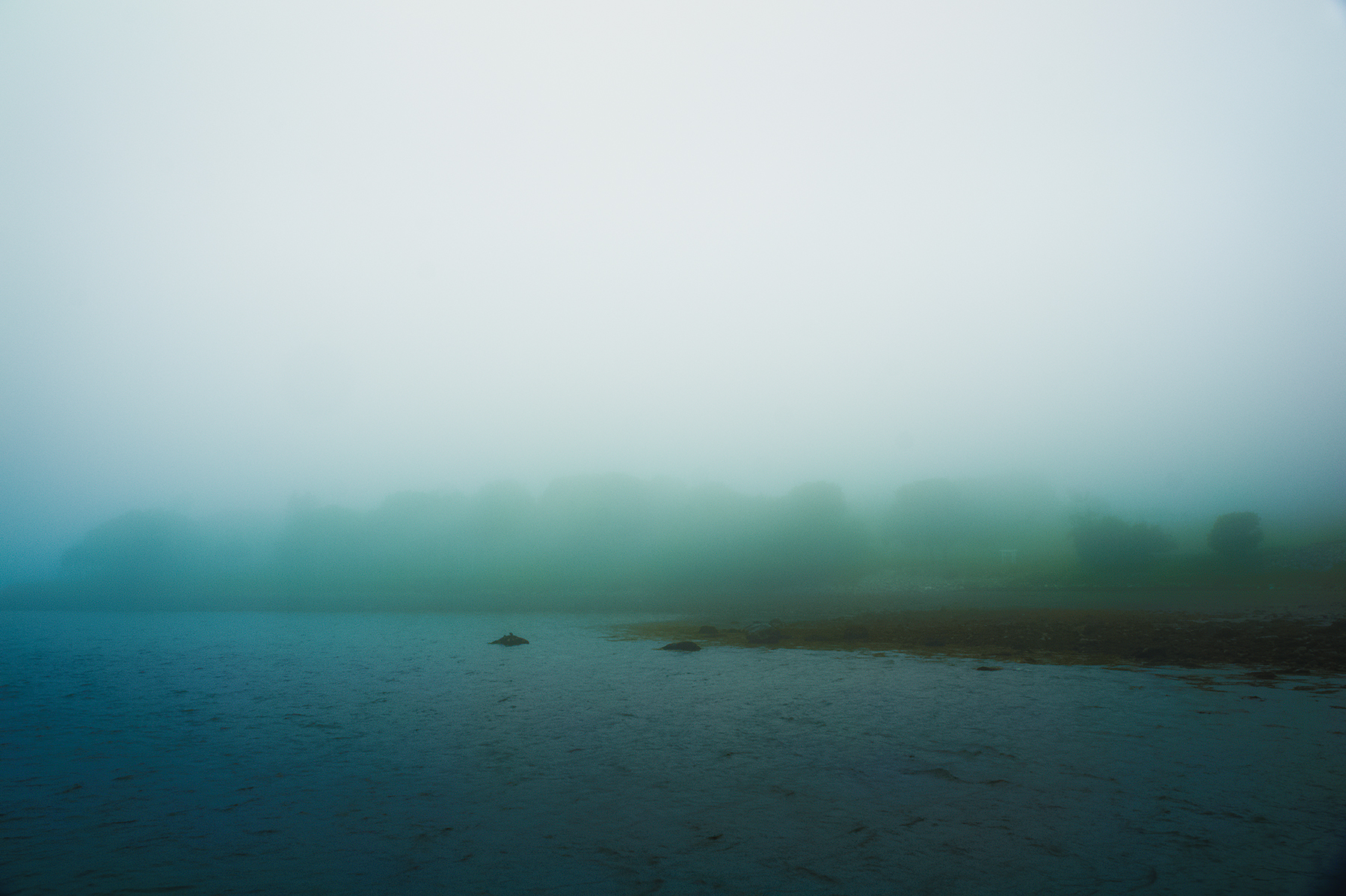 Teal mist over still water and low tide, Maine coastline