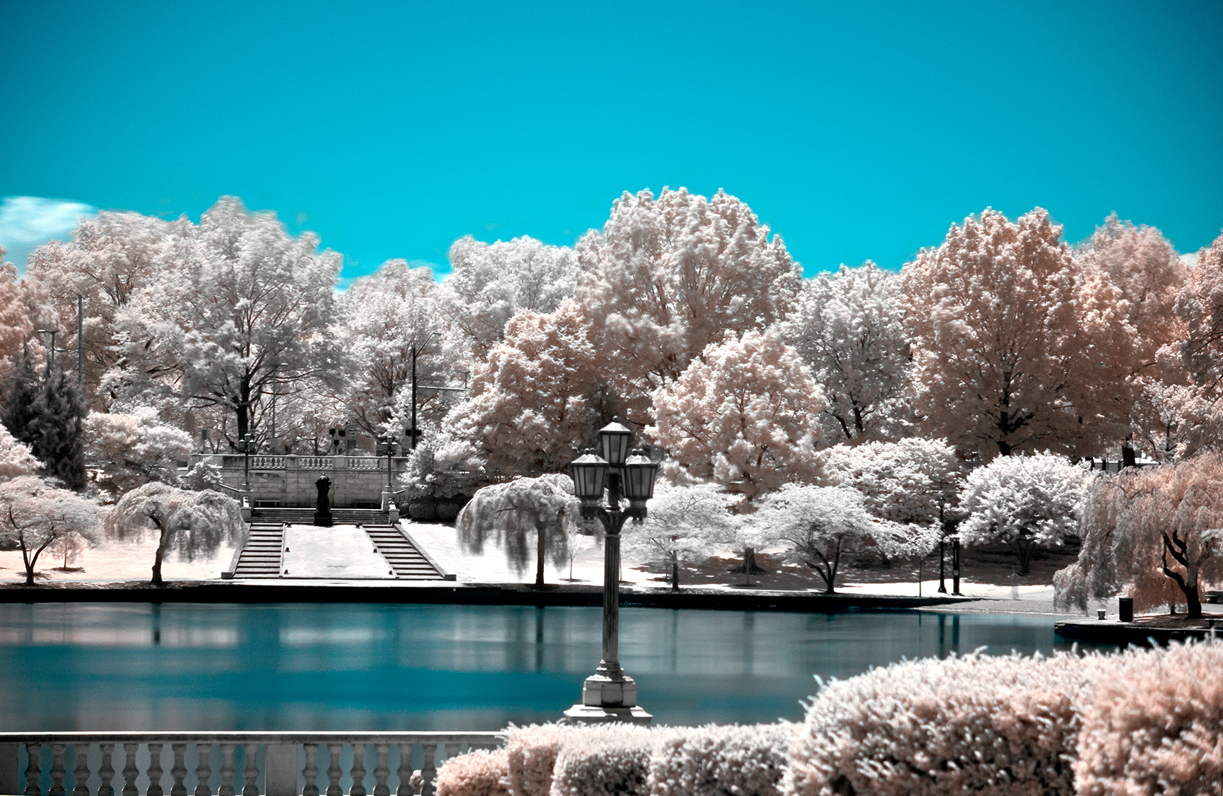 Infrared photograph of Wade Oval park, teal sky and white trees reflected in still water, Cleveland