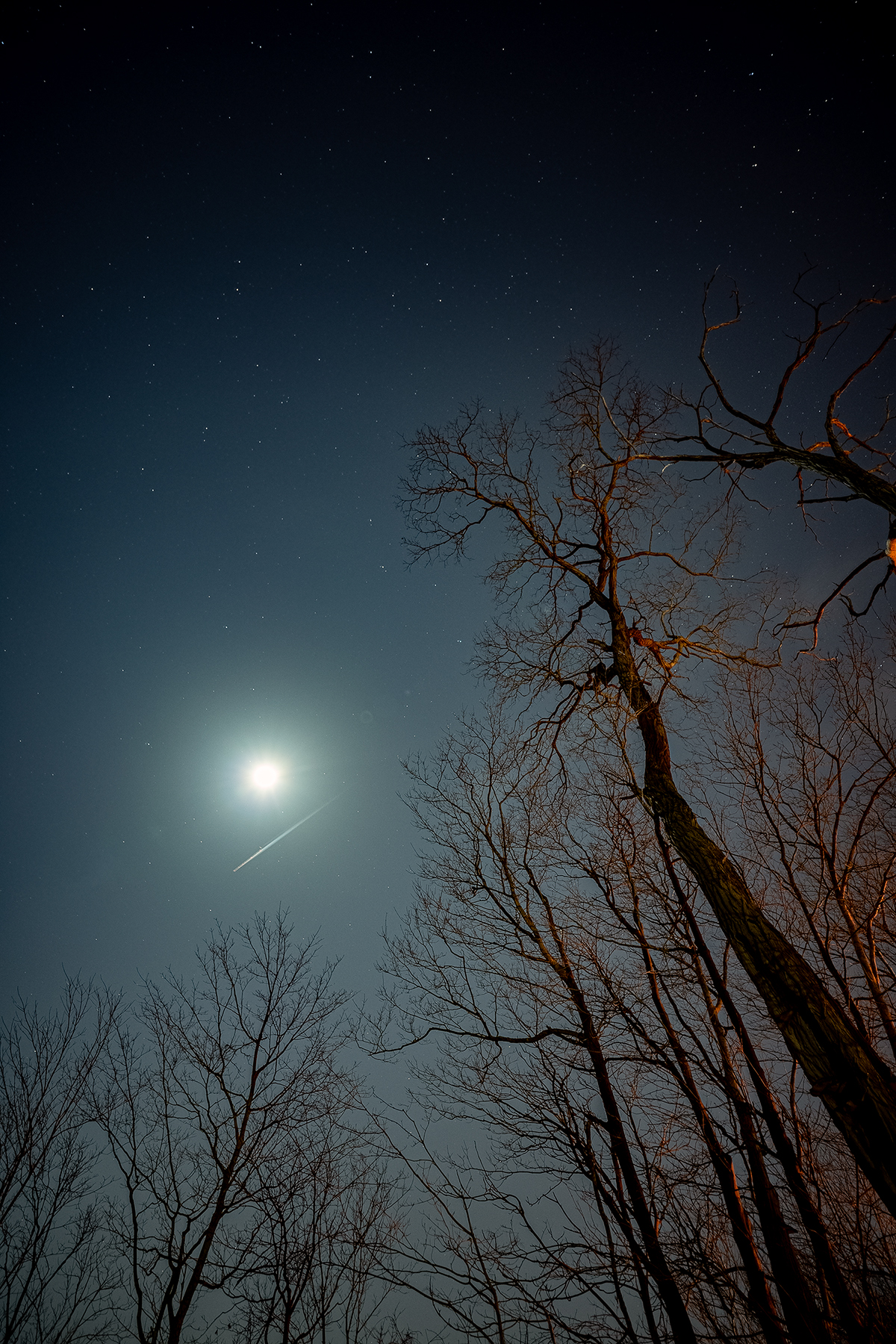 Full moon with plane contrail crossing it, bare winter trees lit warm, stars visible, Ohio