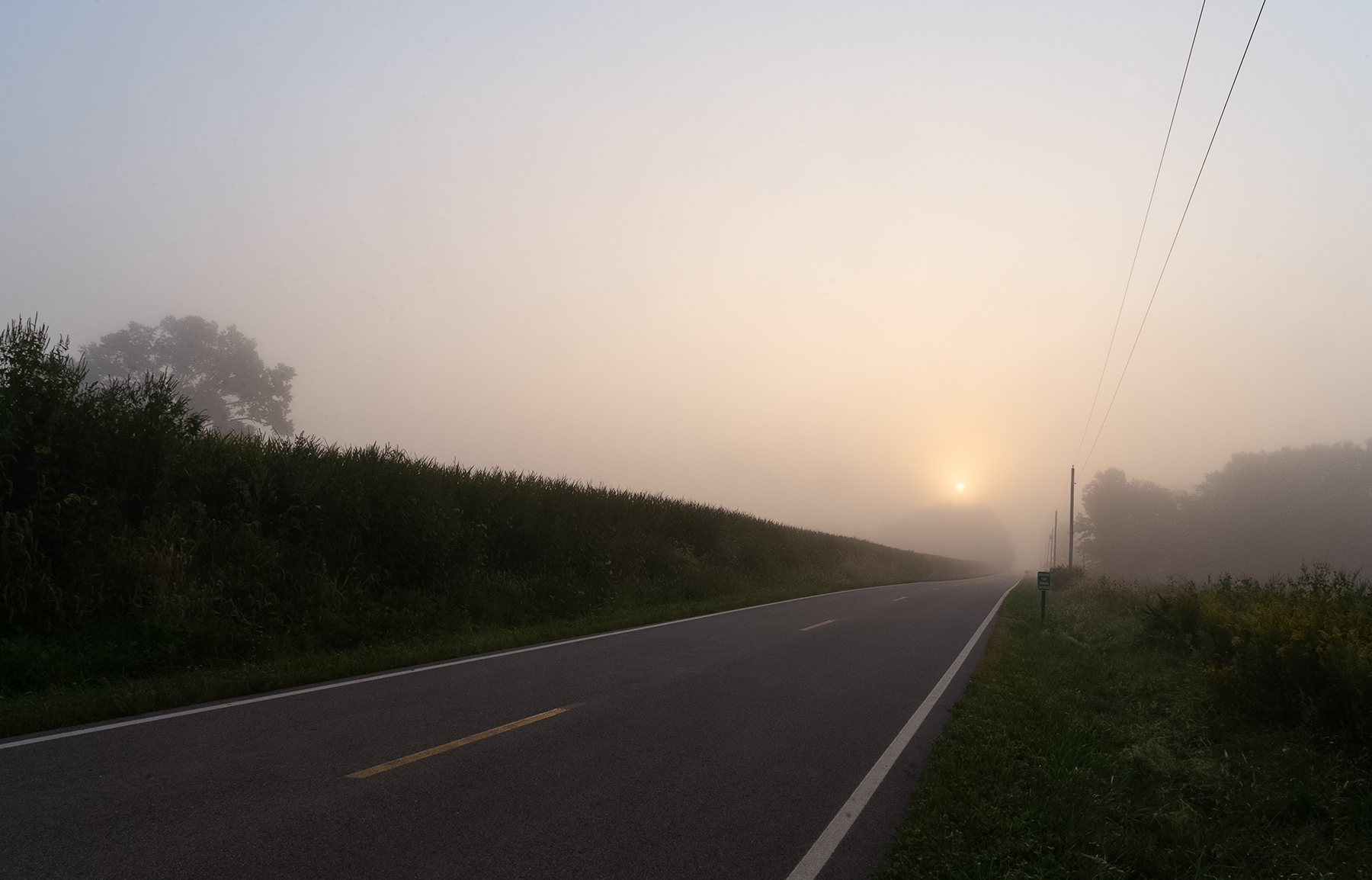 Foggy rural Ohio road at sunrise, sun glowing warmly through mist on the way home